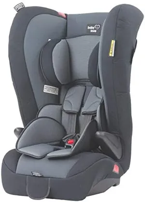 BabyLove Ezy Combo Car Seat