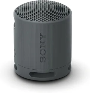 Sony SRS-XB100